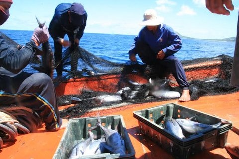 Trung tien ty sau chuyen tro ve tu Hoang Sa hinh anh