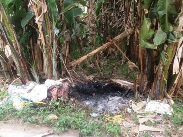 Bat giu nghi pham sat hai mot co giao, dot xac phi tang hinh anh