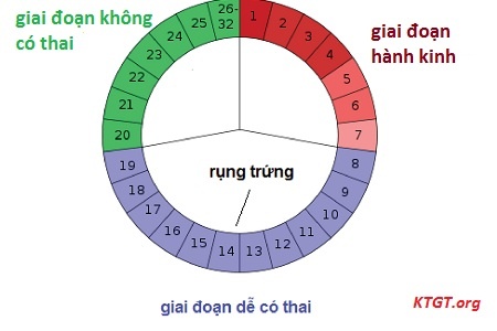 Tinh ngay tranh thai nhu the nao de an toan? hinh anh