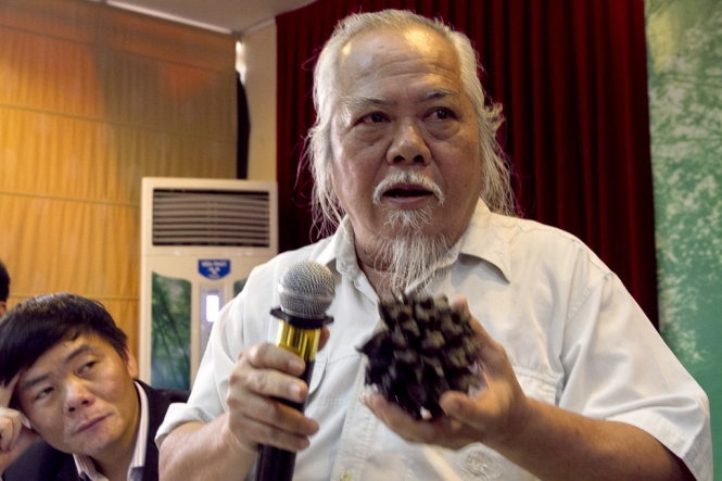 Loai cay trong o Ha Noi khong phu hop hinh anh