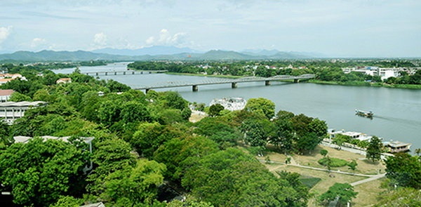 Hue du kien chat hon 3.800 cay tap hinh anh