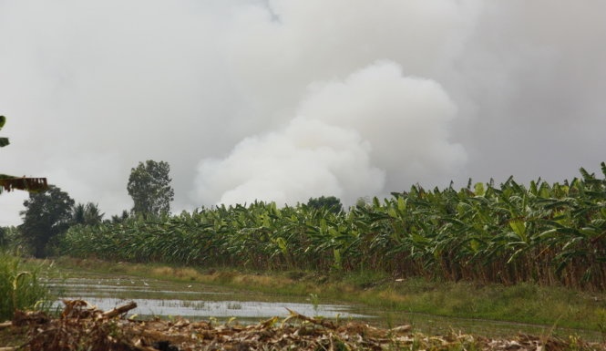 Chay hang tram hecta rung tram o U Minh Thuong hinh anh