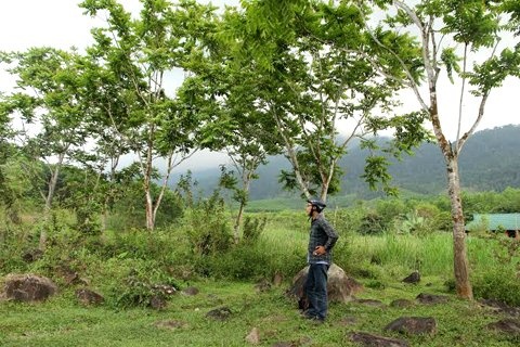 Doi lat hoa trieu do cua vi 'thanh hoang' song hinh anh