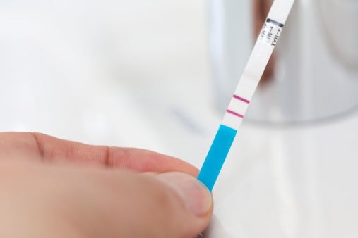 Su khac nhau giua mau bao co thai va 'den do' hinh anh