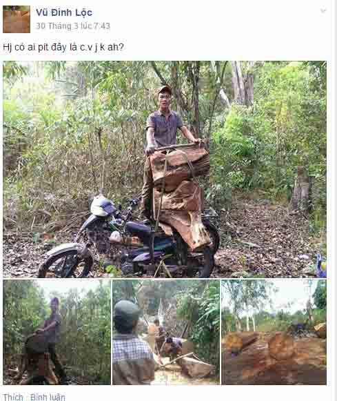 Đối tượng Lộc khoe ảnh khai thác gỗ trên facebook.