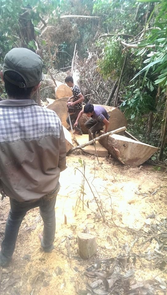  Toàn bộ những hình ảnh này được đăng công khai trên Facebook cá nhân.