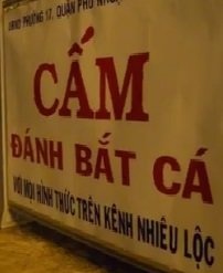 Đã có quy định cấm nhưng nhiều người vẫn phớt lờ.