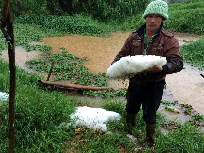 Mua da o at 15 phut, ca chuc ha rau mau tan nat hinh anh