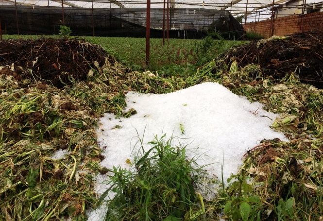 Sau cơn mưa khoảng 30 phút, những viên đá nhỏ tích tụ thành từng đống nhỏ dọc đường Võ Trường Toản.