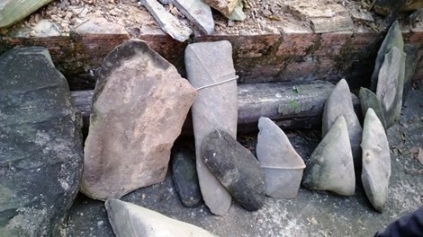 Neu dan da la do co thi thuoc so huu cua Nha nuoc hinh anh