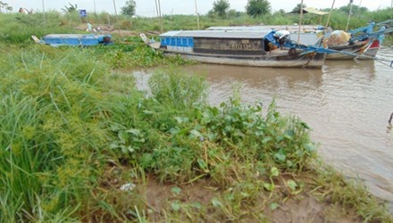 Phat hien thi the nguoi hai ot thue duoi long song hinh anh