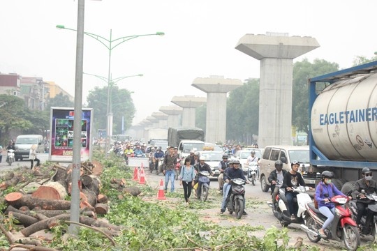 'Diem danh' sai pham cua Ha Noi hinh anh