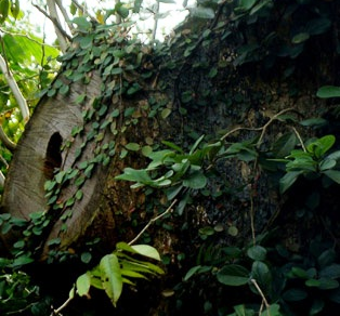 Chuyen kho hieu xung quanh 2 goc sua 150 ty hinh anh