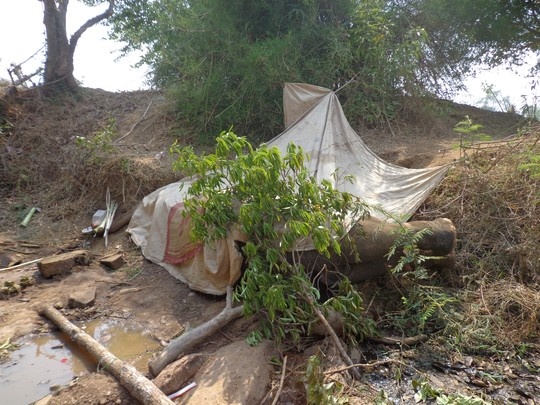 Them mot con voi Dak Lak chet vi kiet suc hinh anh