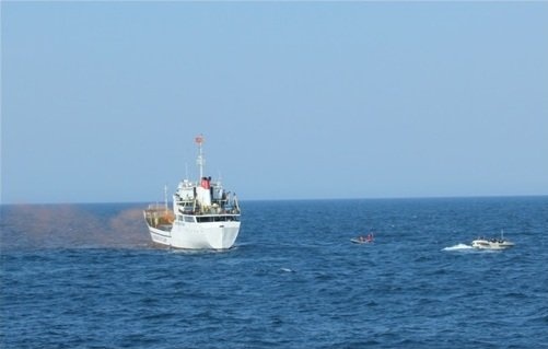 Clip tau Canh sat bien Viet-Nhat luyen tap chung hinh anh