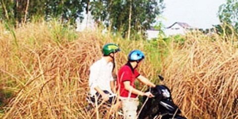 Lo moi tinh dong gioi sau vu an giet nguoi hinh anh