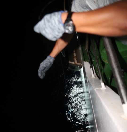 Thả câu dọc mạn tàu.