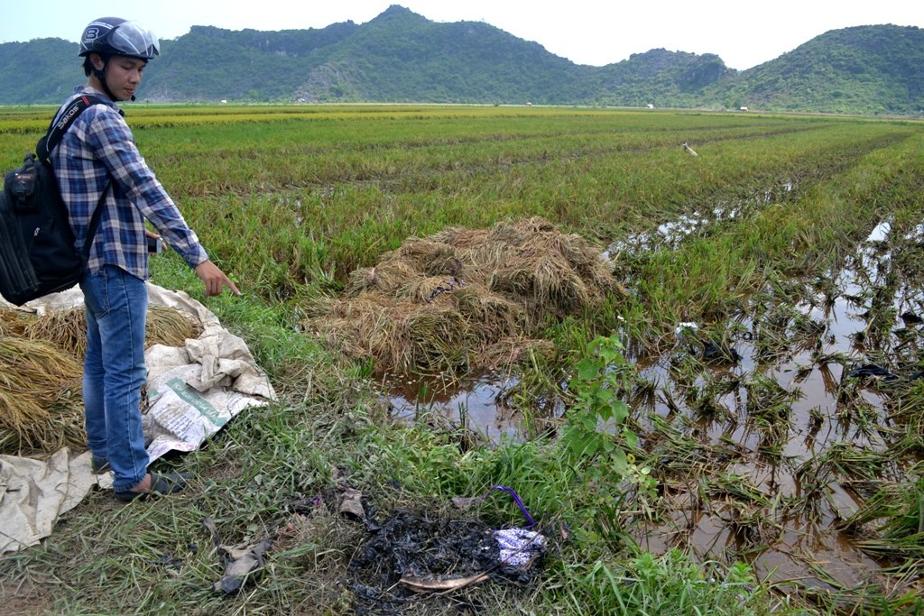 Set danh chet 4 nong dan tren dong hinh anh