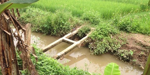 Triet san 10 nam, bat ngo cuong buc tinh duc 'cap tren' hinh anh