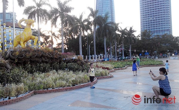 Điểm trang trí hoa trước trụ sở HĐND TP Đà Nẵng (cách đó không xa là Trung tâm Hành chính Đà Nẵng) là một trong những điểm