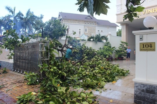 Trên đường Trương Văn Thành, Đình Phong Phú, đường số 3, số 14, hàng loạt cây xanh cũng bị tét cành, đổ nghiêng nằm chắn ngang đường. Người dân khu vực này lo lắng vì hiện tượng gió lốc xuất hiện như chiều nay rất hiếm khi xảy ra.
