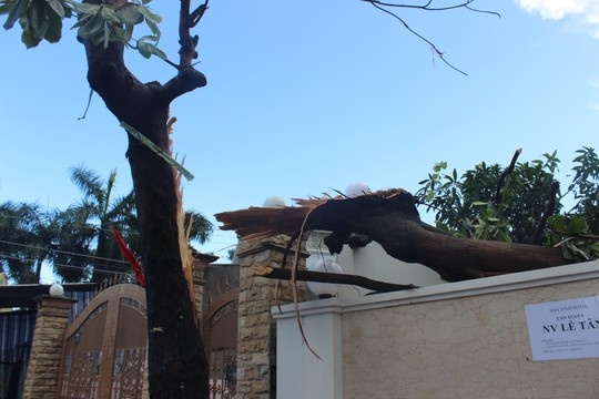 “Gió giật đùng đùng cùng cơn mưa rất lớn bất ngờ ập xuống, nhiều người hốt hoảng tìm chỗ sơ tán. Từ nhiều năm nay chưa có lần nào gió mạnh đến như vậy” - chị Nguyễn Thị Thùy Trang (ngụ đường Lê Văn Việt) nói.