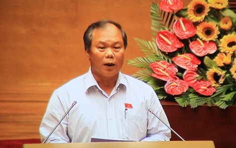 'Ten dai qua 25 chu cai khong anh huong an ninh quoc gia' hinh anh