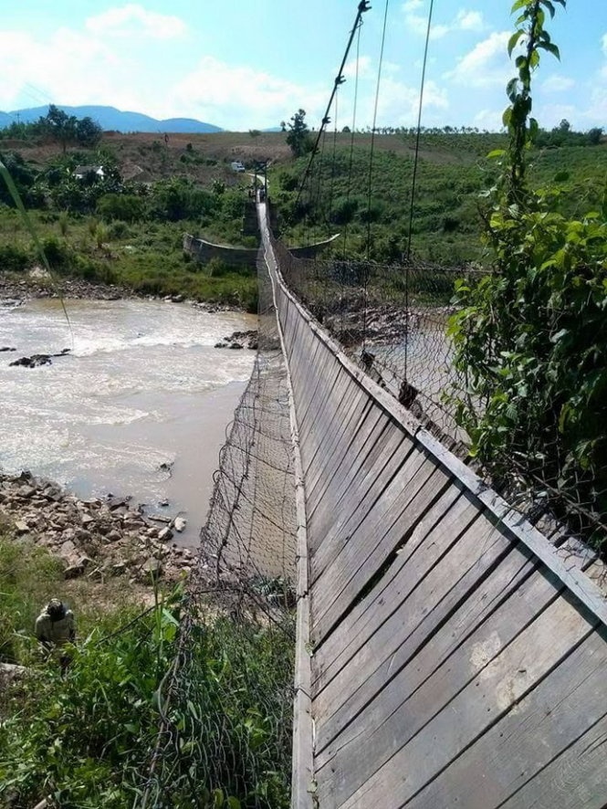 Cầu bị đứt dây văng.