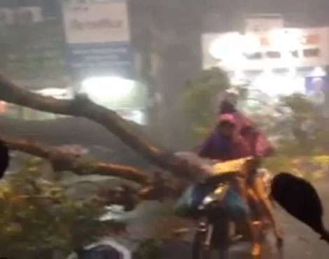 Tinh huong thoat chet khi cay co thu do sat nguoi hinh anh