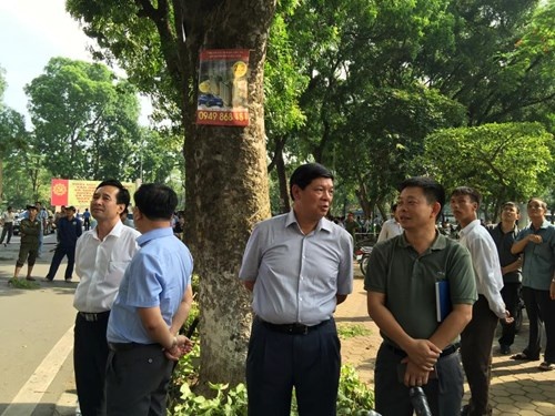 Phó Chủ tịch UBND TP Hà Nội Nguyễn Quốc Hùng (giữa) trực tiếp chỉ đạo việc chặt hạy cây xanh gây nguy hiểm.