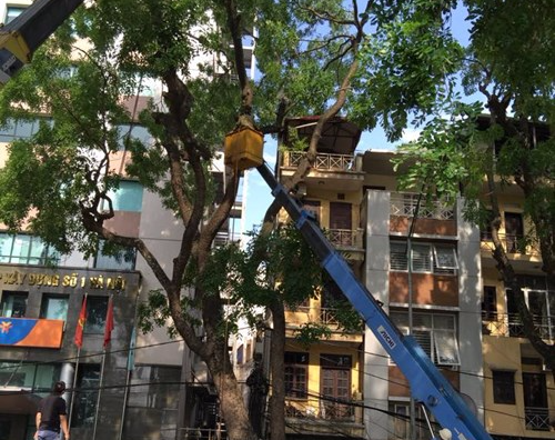 Xa cu co thu do nghieng 'doa' de sap nha 4 tang hinh anh