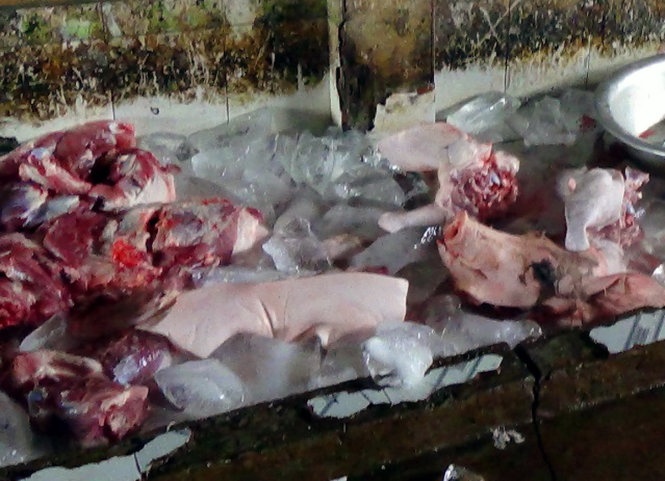 Thịt heo sau khi giết mổ trong điều kiện dơ bẩn được ướp đá trước khi đưa đi tiêu thụ.