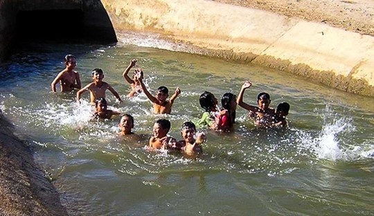 Ninh Thuan 'song' lai nho mua lien tiep roi hinh anh