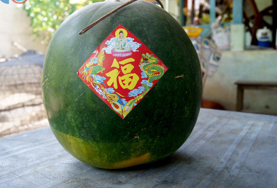 Dua hau chung 2 cai Tet hinh anh