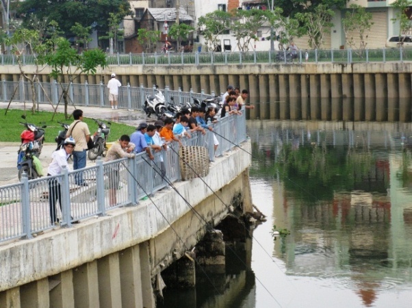 TP HCM se cam cau ca tren kenh hinh anh