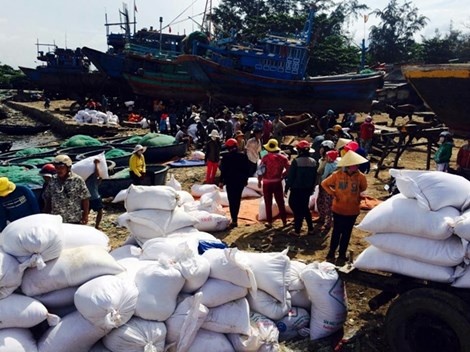 Hang tram tau thuyen tan cong tau Hai Truong 36 de hoi cua hinh anh