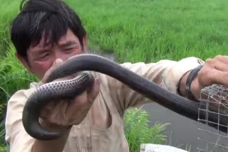 San ran doc o... Sai Gon hinh anh