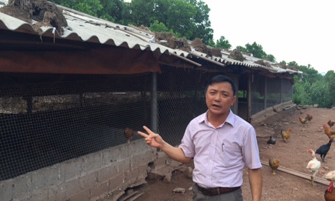 Thụ tinh nhân tạo cho gà sẽ mở ra những thành công khó lường hết được trong tương lai.