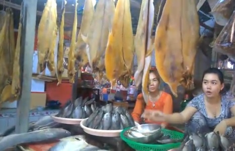 Kho ca tra Bien Ho thuc chat la ca tra Viet Nam hinh anh