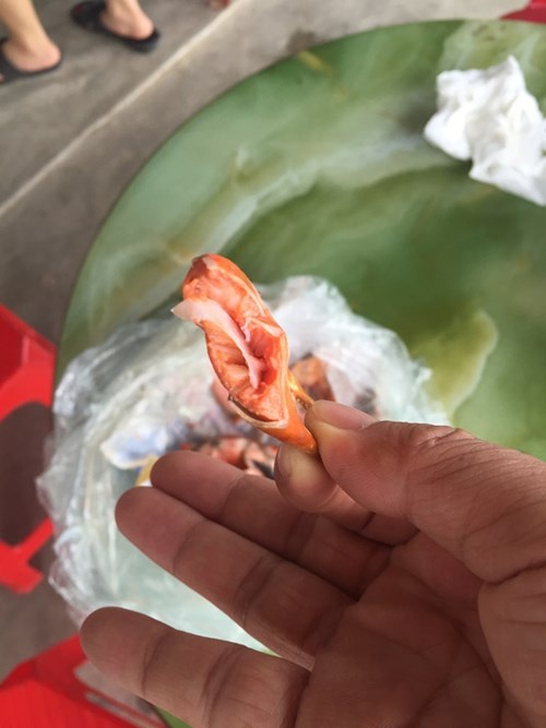 Trao đổi với PV Tiền Phong, ông Phan Văn Dũng, Trưởng phòng quản lý chất lượng nông, lâm, thủy sản (thuộc Sở NN&PTNT Hà Tĩnh) cho biết, sẽ cử cán bộ trực tiếp xuống tìm hiểu. “Phải lấy vật thể lạ đó đi giám định mới biết rõ là thuốc hay không”, ông Phan Văn Dũng nói.