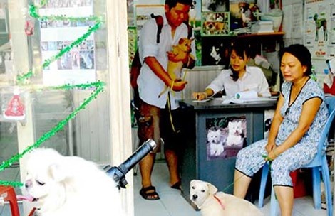 Trom thu cung, co nen khoi to? hinh anh