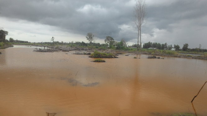 Mien Tay khat giua mua mua hinh anh