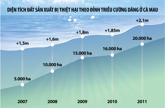 Diện tích đất sản xuất bị thiệt hại theo đỉnh triều cường dâng ở Cà Mau.