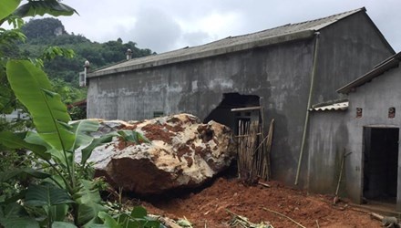 Da to 20 tan do ap vao nha dan hinh anh