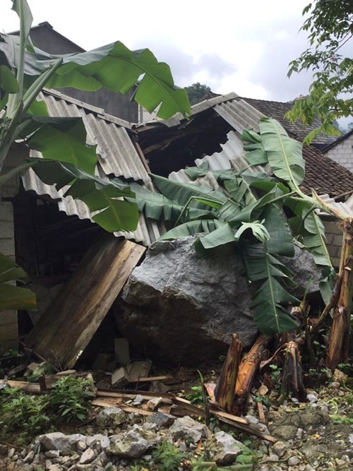 Đá tấn công vườn tược, hoa màu, cây cối hư hỏng nặng.