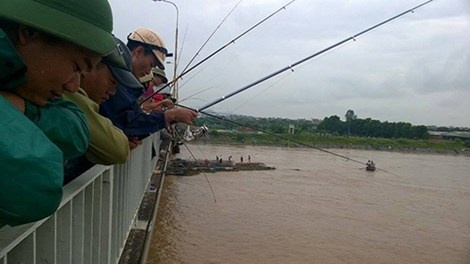 Người dân đổ xô câu cá trên cầu.