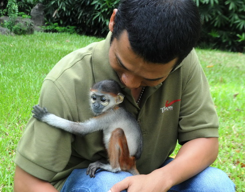 Tu Sai Gon di xe ra Da Nang cuu con Vooc trong dem hinh anh