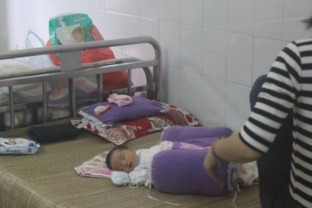 Be so sinh bi bo o vuon hoa kem thu 'nho nuoi ho' hinh anh