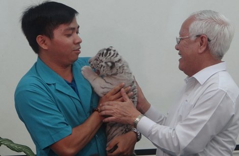 Chủ tịch UBND TP.HCM Lê Hoàng Quân (bìa phải) khẳng định không có chuyện di dời Thảo cầm viên Sài Gòn.