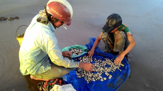 Nhiều trẻ em cũng theo người lớn làm “nghêu tặc” như em nhỏ này và thành quả một ngày lao động là chừng đó nghêu